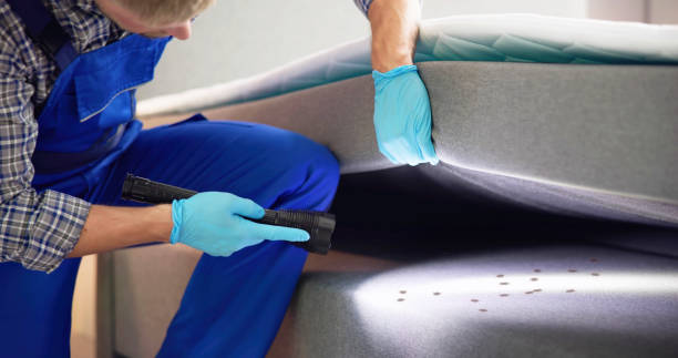 Best Cockroach Control Services  in Earlham, IA