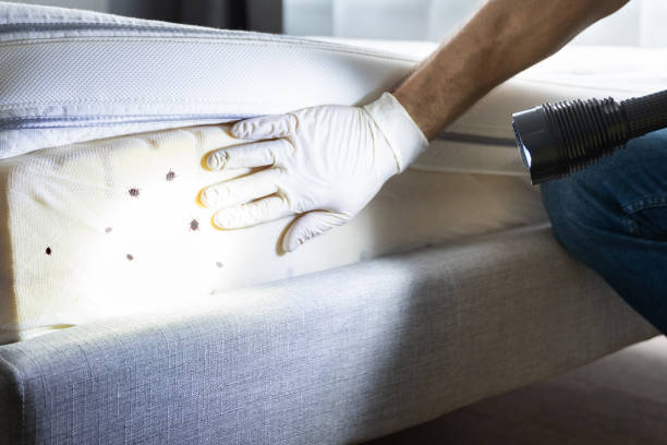Best Bed Bug Extermination  in Earlham, IA