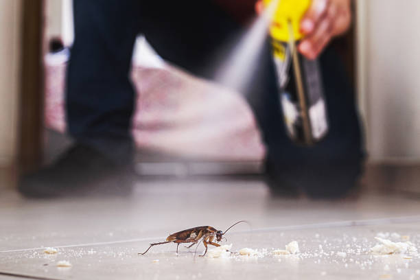 Best Mosquito Control Services  in Earlham, IA