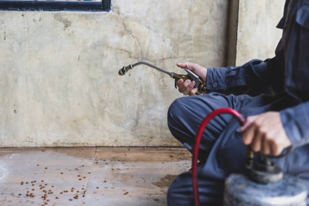 Best Affordable Pest Control Services  in Earlham, IA